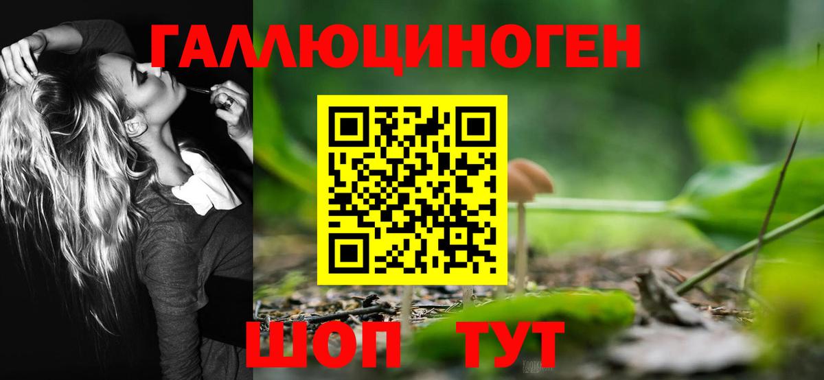 Псилоцибиновые грибы мухоморы Кохма