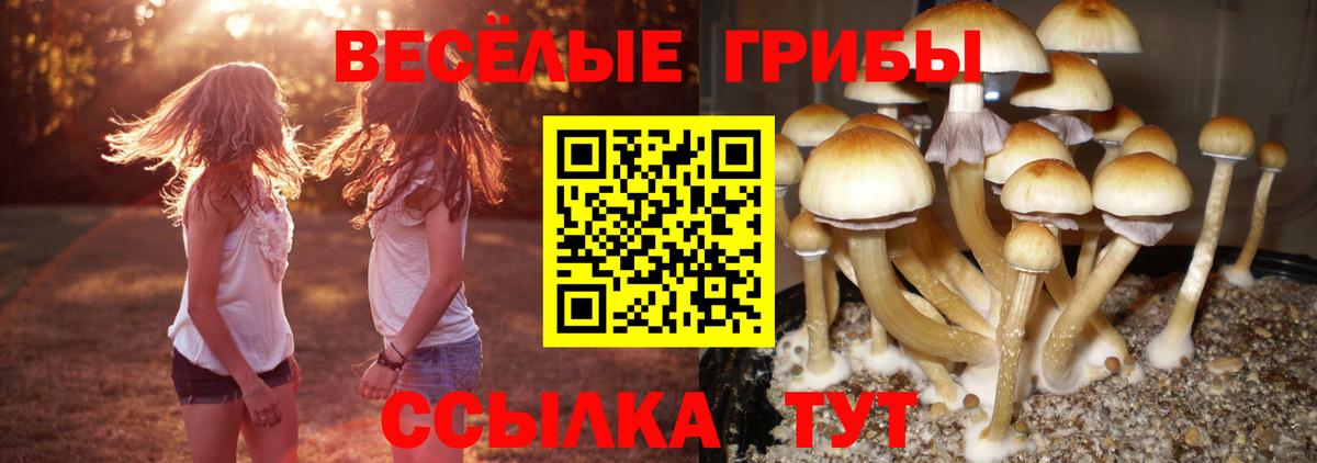 Кохма  Вход с VPN  ЭКСТАЗИ  Мефедрон   Кокаин  Alpha-PVP СОЛЬ   Гашиш 