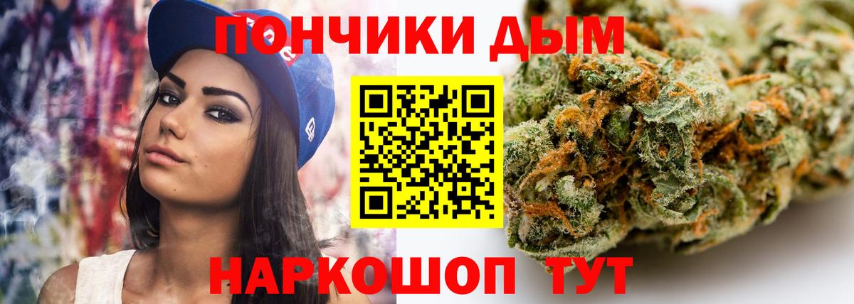 Бошки Шишки семена Кохма